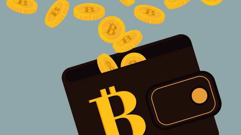 5 Categories Of Bitcoin Wallets You Need To Know