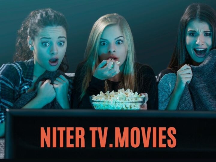 Niter tv.movies: Watch Movies Online and Alternatives Sites