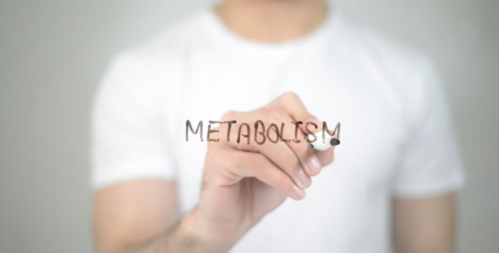 Does Metabolism Matter In Weight Loss Tech Kalture