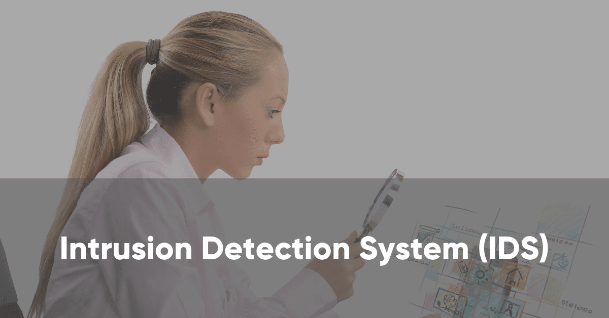 What is an Intrusion Detection System (IDS)?