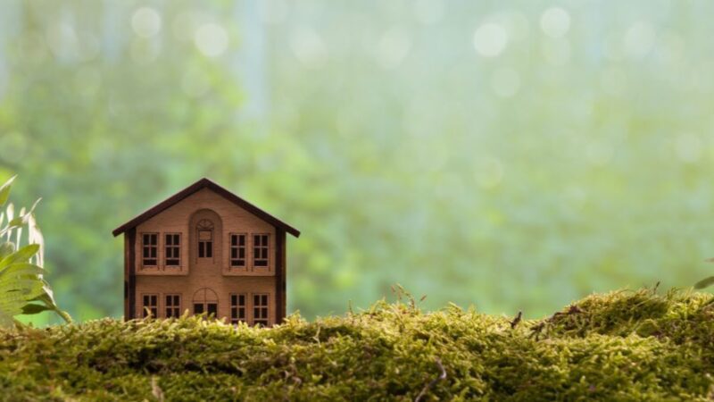 Top 5 Eco-Friendly Communities in Dubai, the UAE