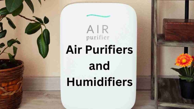 What Are the Differences Between Air Purifiers and Humidifiers?