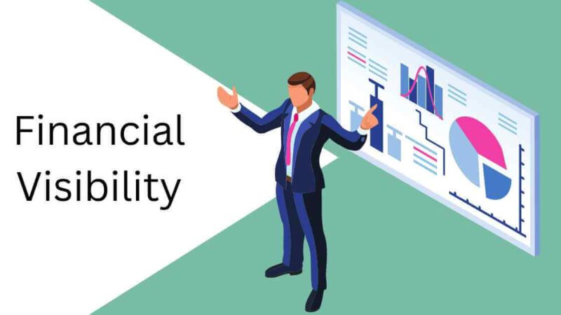 Financial Visibility: The Essential Element for Scaling Your Business