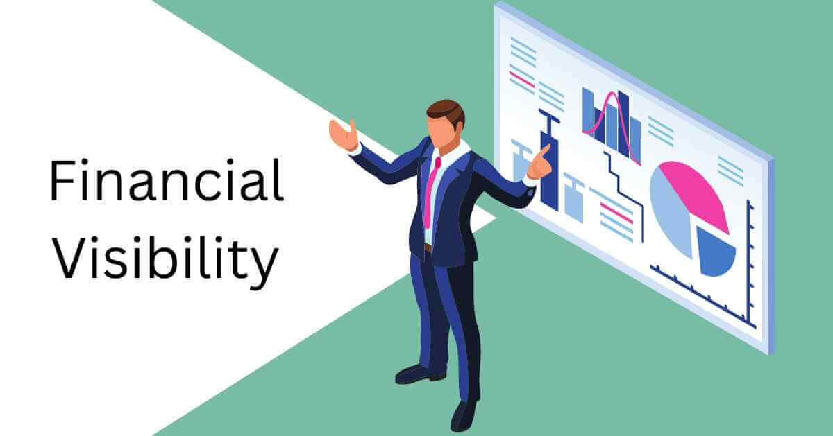 Financial Visibility: The Essential Element for Scaling Your Business