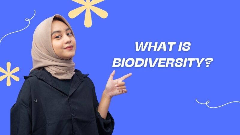 What is Biodiversity Class 10? Definition, Types And Importance