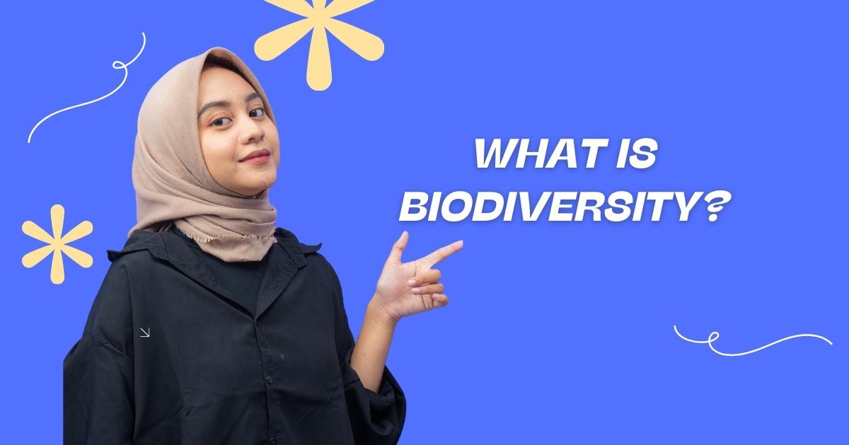 What is Biodiversity Class 10? Definition, Types And Importance